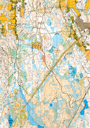 Blank kartfil, Livelox