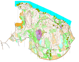 20250528-Pommiovuori