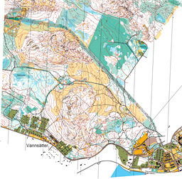 kartutsnitt Bergvik_ISOM2000 rev20240910 tryck