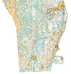 Ålen 2024-Tor