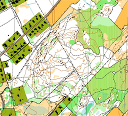 Grimsholmen_2025-08-24