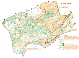 BillyBob_2025-08-22_v2018