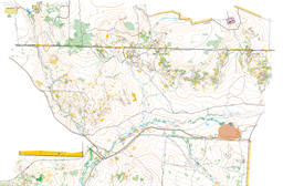 Ngangaguringguring 10000 2025