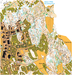 Bråta-Krymla 20250802