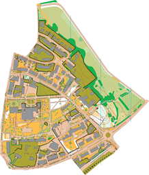 Kamien-trening-mapa1