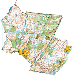 MÅLSRYD OL Original 2025 utsnitt för 10000 Medel DM