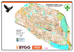 DM-Stafett Öppna banor