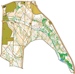 Mata da Machada_ 20250822