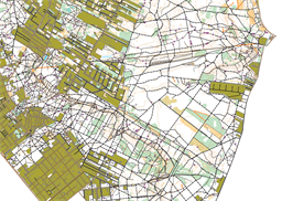 Warszawa 2025 Falenica WŁAŚCIWA — OCAD10