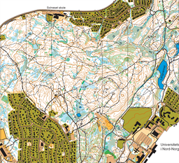 Nord-Tromsoya_3_2025-05-28