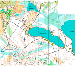 natt-dm_livelox-karta