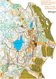 Ungdom baseared på Billingen 250821