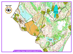 Kivijärvi 25.9.2025_taustakartta