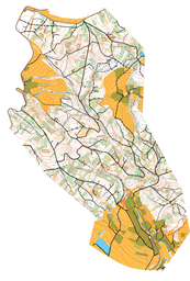 Buš V