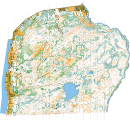 Tonsnes_2_2025-06-09