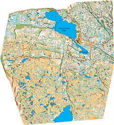 Kvamskogen_siste