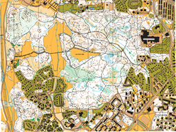 Kronskogen 2025-06-01