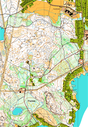 25mannaträning (1).All