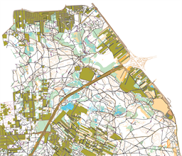 Warszawa 2025 Falenica WŁAŚCIWA — OCAD10