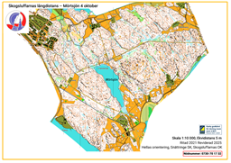 A3 10000 Mörtsjön  - Luffarna