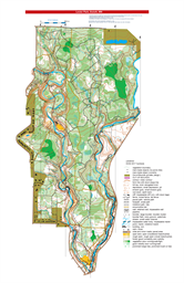 Lester 10K ISOM_241001