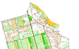 Beniaminów