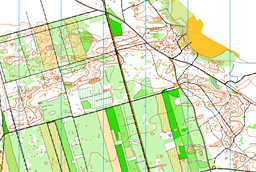 Beniaminów