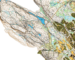 Gulset200
