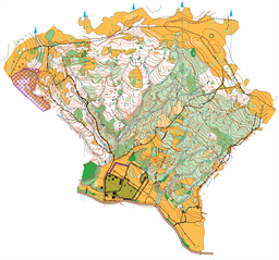 Valasoaia-Corectura-ILIN