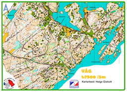 Våg