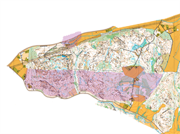 FSOM2025_PetteriM_201025