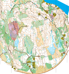 20250821-Pommiovuori