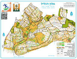 אלון הגליל עדכון 2025 אוקד