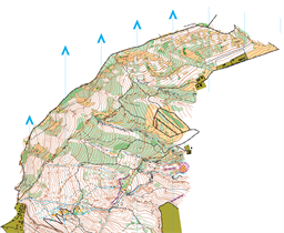 Kojori_12 - Аштфд