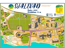 Själevadskolan sprintkarta 1 3000 ISSprOM 2021 okt 2024