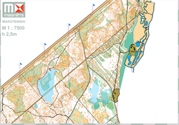 LangstMakstUpesc_20240803