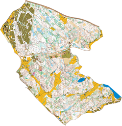 Maalu-Lakianummi_salonight o9