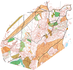 Skallhult_ISOM2017_20250111 ORIGINAL banläggning