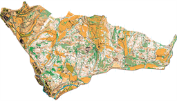 Cal Companyó + Plans de Rotllan (10000) 2025