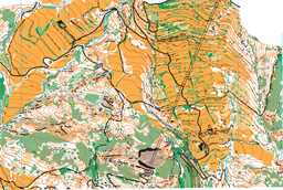 Cal Companyó + Plans de Rotllan (10000) 2025