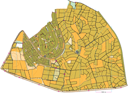 [2025]BetEliezer-Orchards