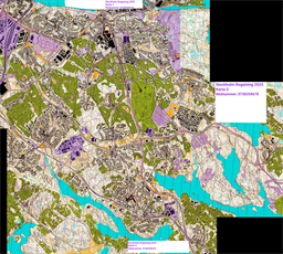 Hela kartan med banpåtryck för Livelox