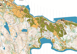 Rogaining 251207.All