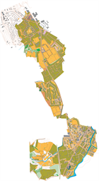 Cognin_LATOTALE_12nov_ocd10