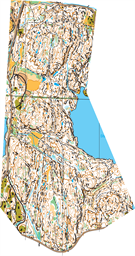 Frikstad-2021-nattløp