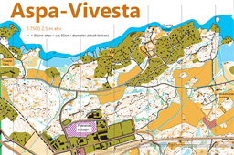 aspa_vivesta_ritn_Nattcup