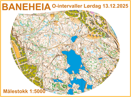 Utsnitt Baneheia 251213