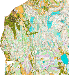 Basen 2025-12_26_lusseloppet Livelox