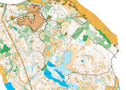 Risdal_2019 Jakob efter rev