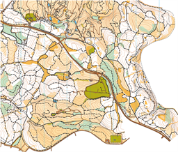 [2009][MTBO]Maccabim-BenShemen